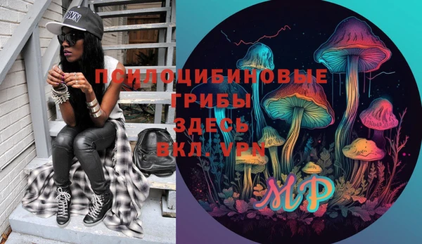 гашик Алексин