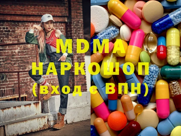 гашик Алексин