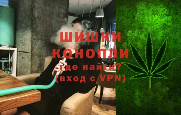 гашик Алексин