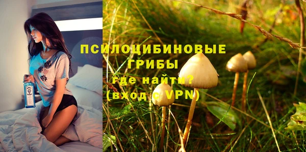 соль ск Алзамай