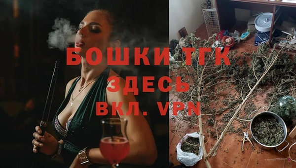 гашик Алексин