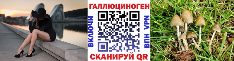 Галлюциногенные грибы MAGIC MUSHROOMS  Выкса 
