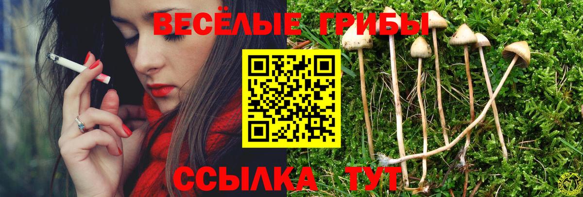 Галлюциногенные грибы ЛСД Выкса