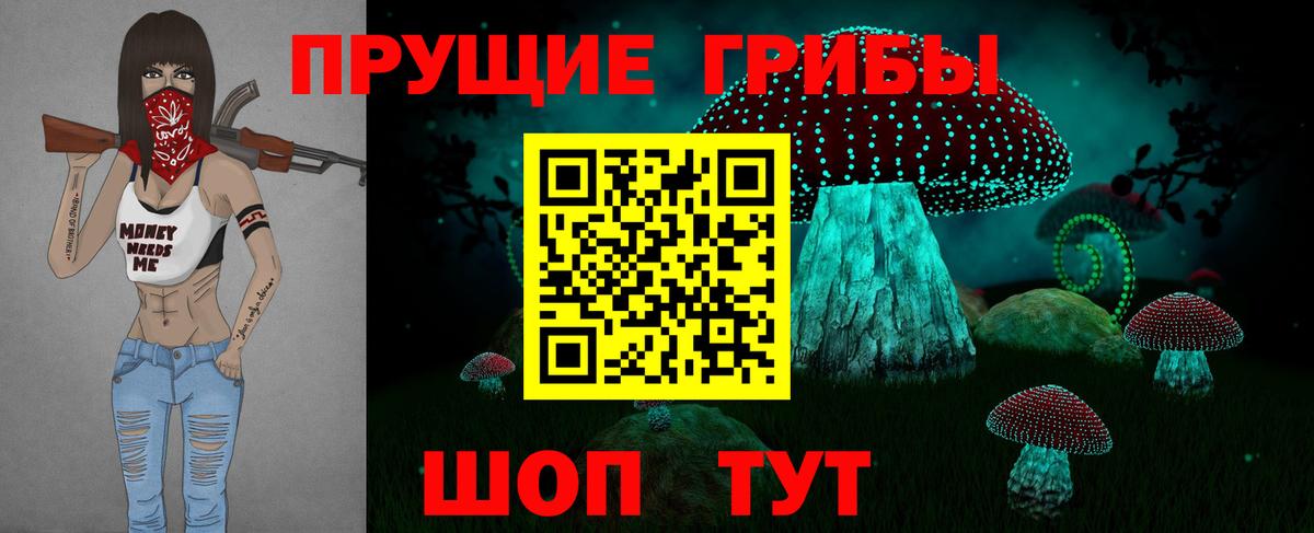 Выкса  Псилоцибиновые грибы Cubensis  Вход с VPN  Псилоцибиновые грибы ЛСД 